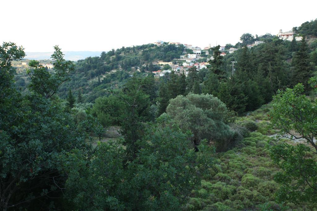 Villa Athina Aryiroúpolis Стая снимка