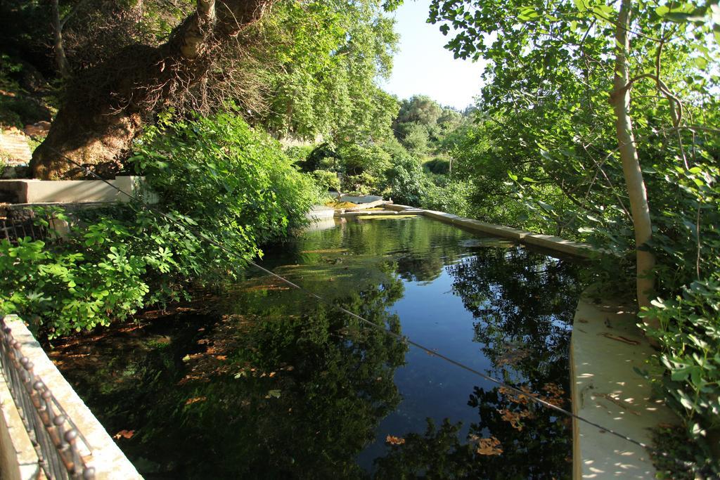 Villa Athina Aryiroúpolis Стая снимка